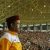 Persija Kembali Pakai Stadion Patriot saat Menjamu Perseru