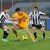 Prediksi Hellas Verona vs Udinese 13 Mei 2018