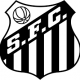 Prediksi Santos vs Chapecoense 04 Juli 2016
