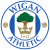 Prediksi Skor Brighton & Hove Albion vs Wigan Athletic 17 April 2017
