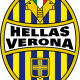 Prediksi Skor Novara vs Hellas Verona 11 April 2017